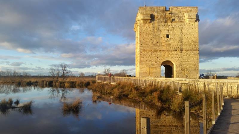 Quoi Faire Proche de la Camargue : moins d’une heure de route